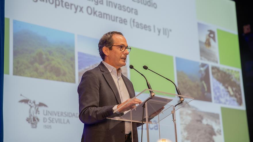 Mares resilientes o cómo darles la vuelta a fenómenos adversos