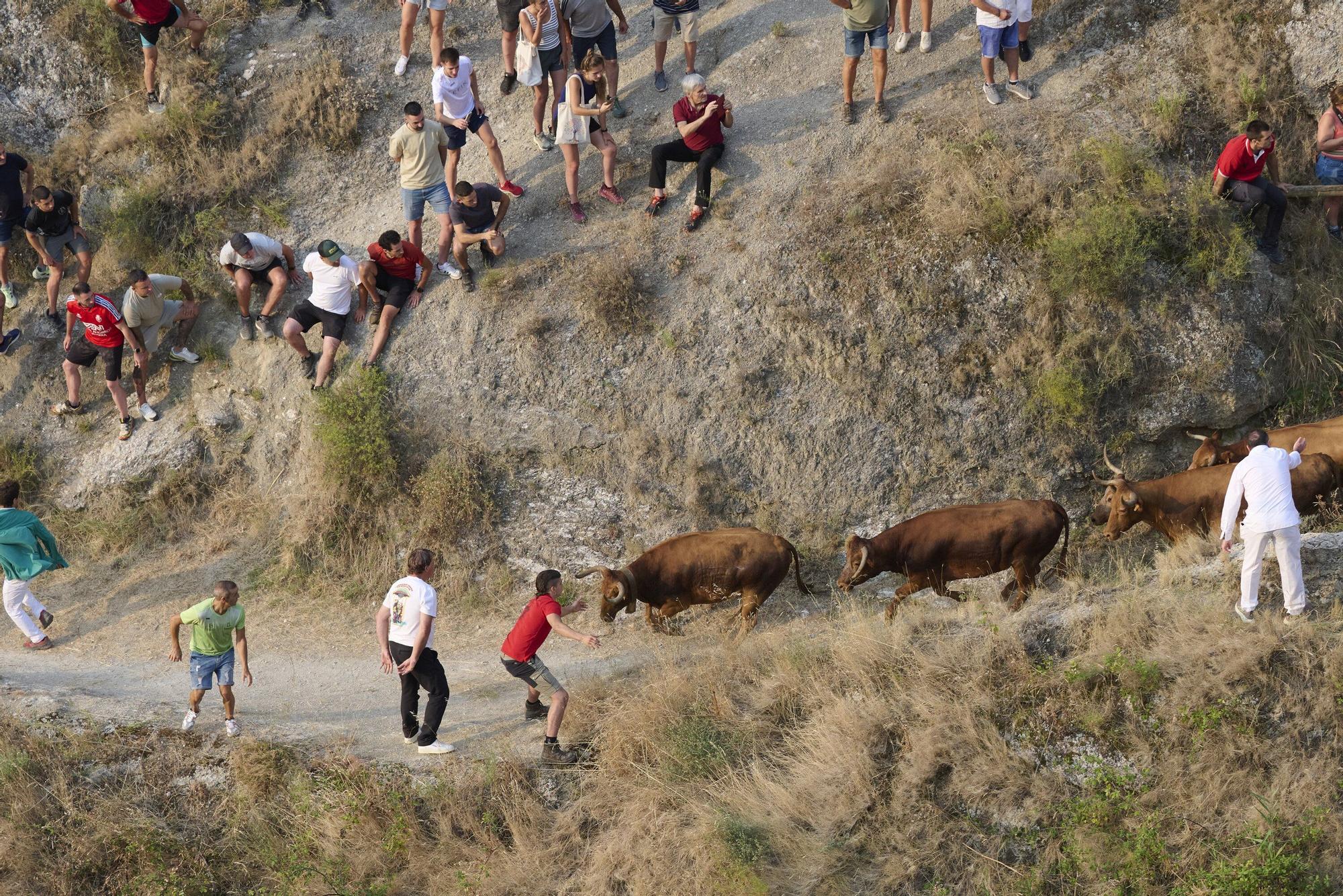 Fotos del primen encierro del Pilón en Falces 2025