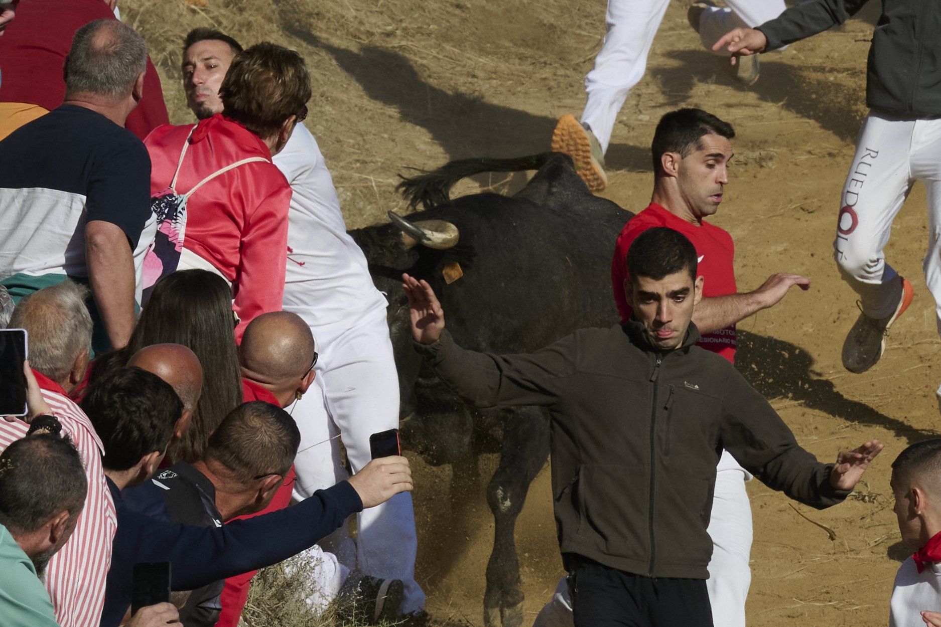 Fotos del penúltimo encierro del Pilón de Falces 2025