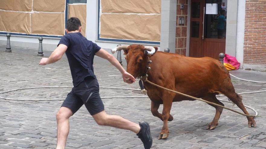 Cuenta atrás para los festejos de Andramari y San Roke en Soraluze