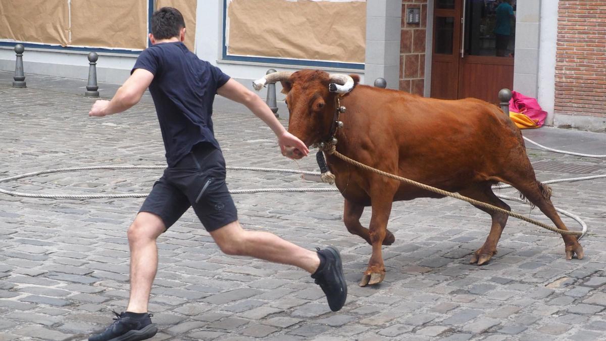 Los toros jugarán un papel destacado en la agenda festiva del 17 de agosto, día de San Roke Txiki.