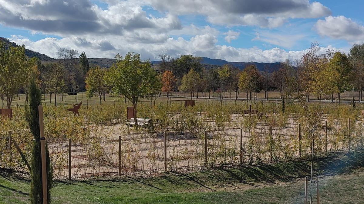 Imagen del laberinto de Olarizu