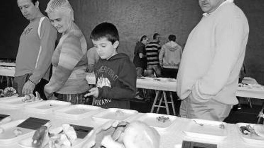 El Mikoturismo Eguna se cierra con una exposición.