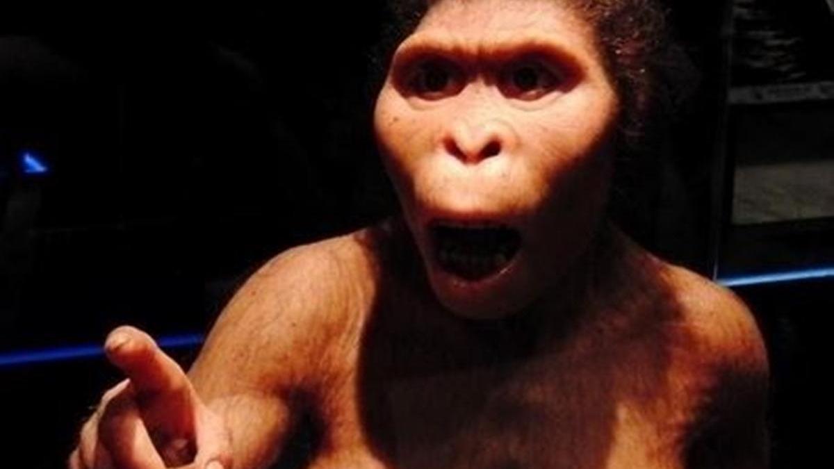 Reconstrucción de Lucy, la famosa Australopithecus afarensis.