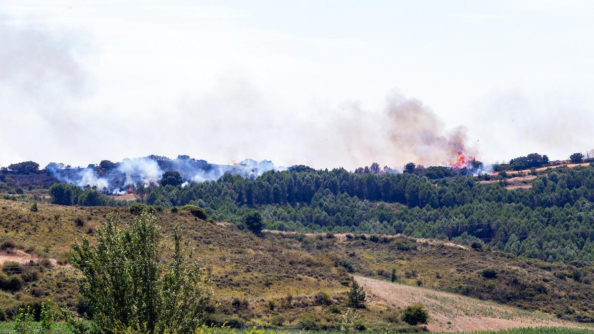Incendio Forestal en la zona de Eneriz.