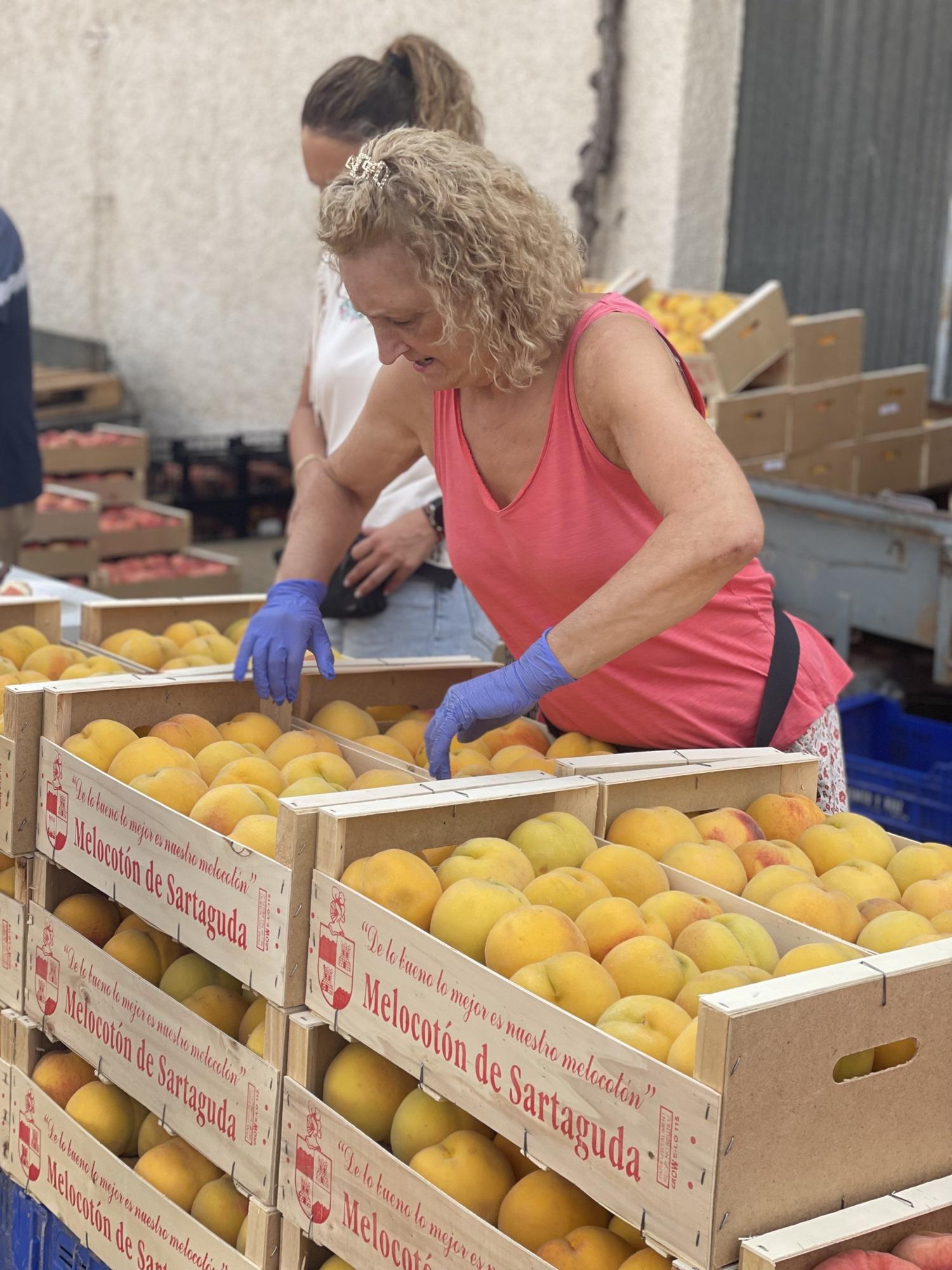 Fotos | Más fruta y más puntos de venta en la Feria del Melocotón de Sartaguda