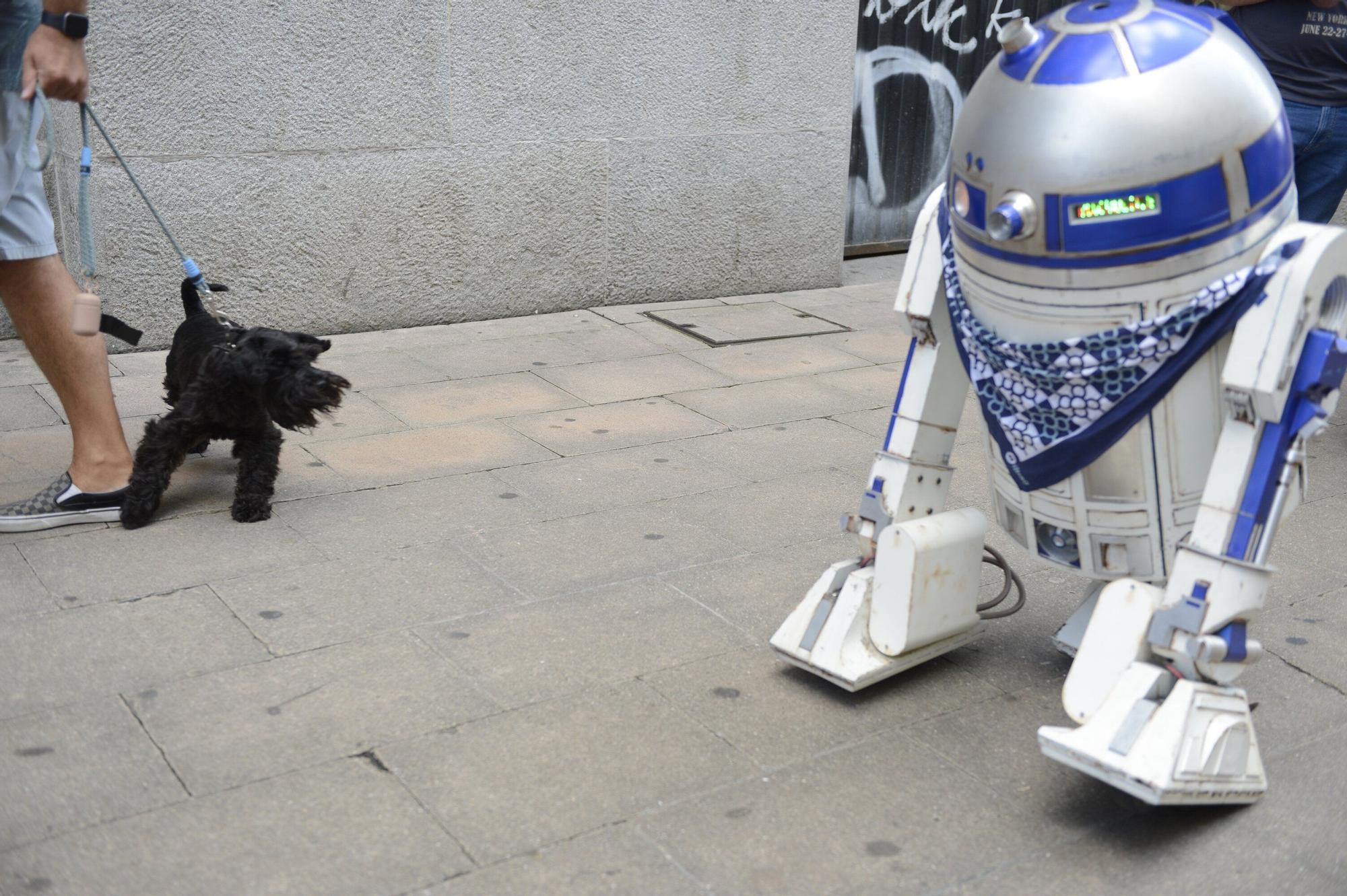 En imágenes: los personajes de Star Wars irrumpen en plena Aste Nagusia