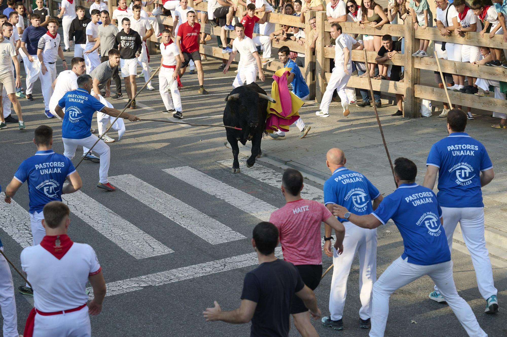 Fotos del primer encierro de fiestas de Tafalla