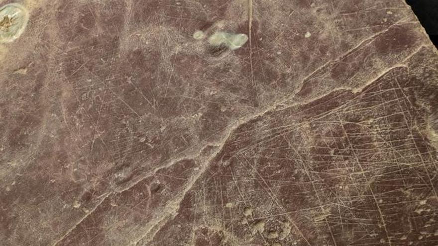 Responsables de la Diputación de Gipuzkoa han presentado hoy en Donostia el hallazgo de un posible primer plano urbano de la prehistoria en Euskadi, en el poblado de la Edad del Hierro de Basagain, en Anoeta