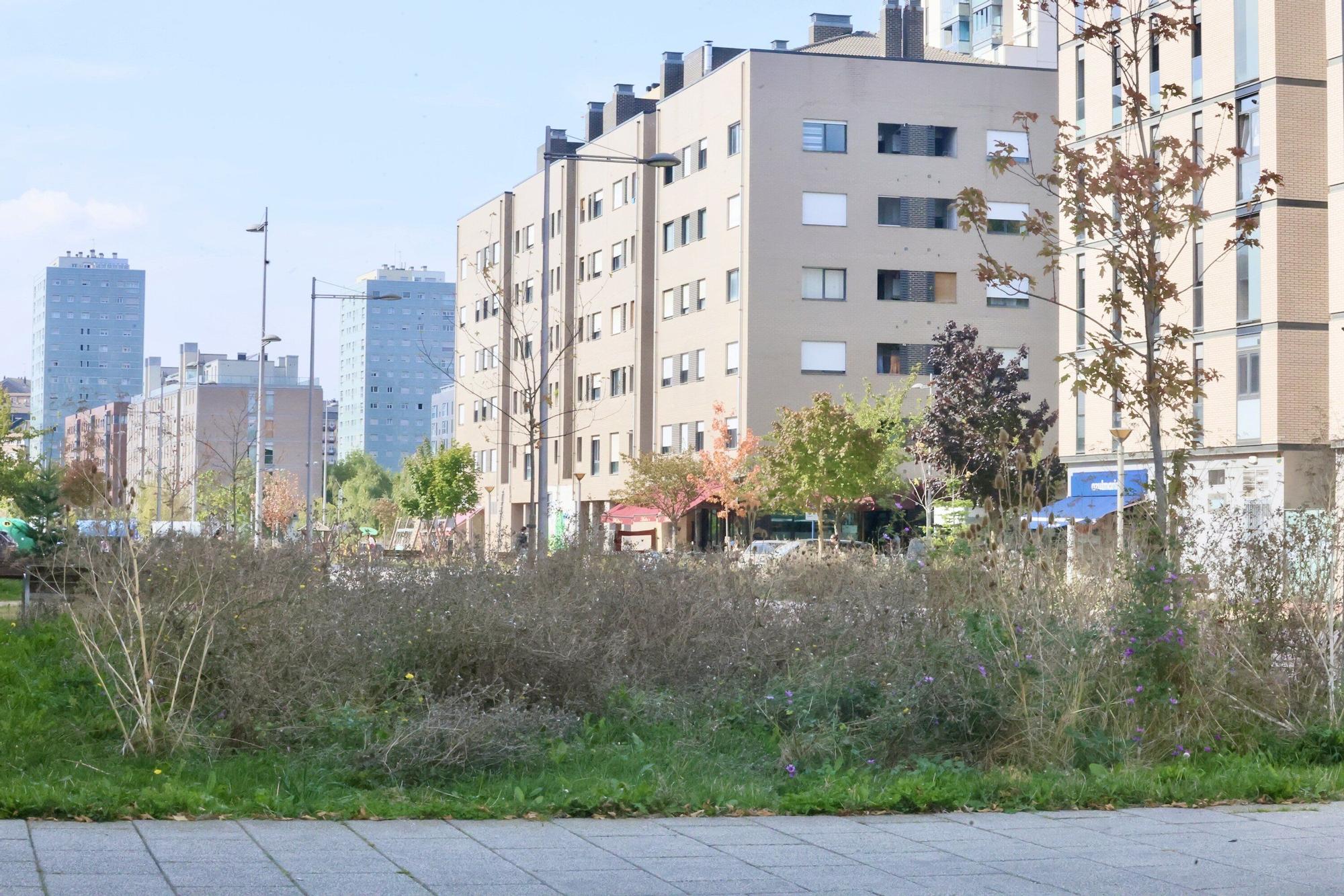 En imágenes: Vitoria-Gasteiz se prepara para adecentar el verde de la ciudad