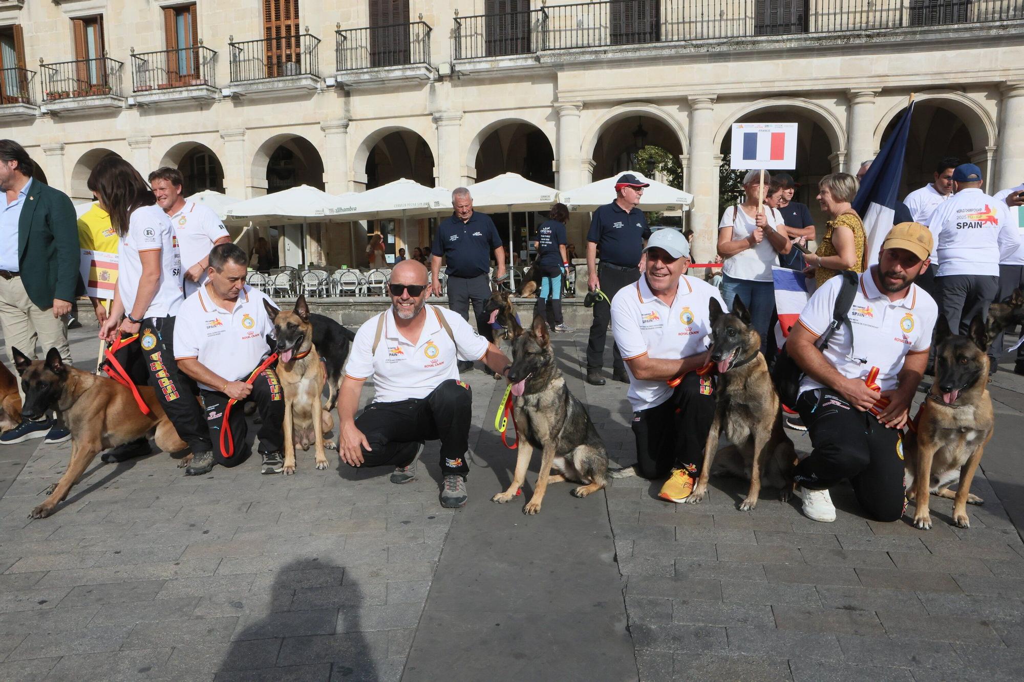 En imágenes: Perros de élite desfilan por Vitoria-Gasteiz por el 'Campeonato Mundial FCI-IGP'