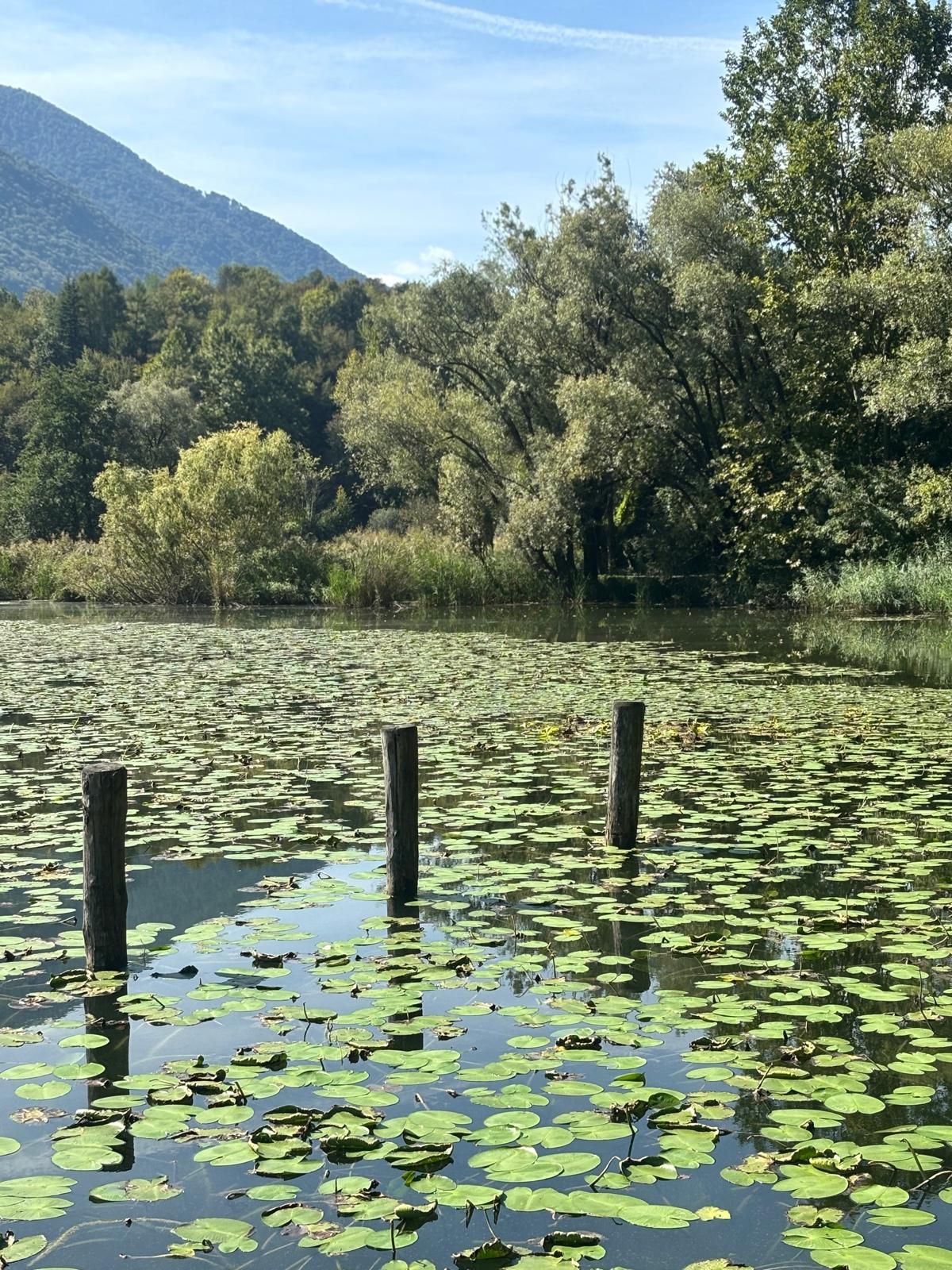 Visión general del fantástico lago italiano.