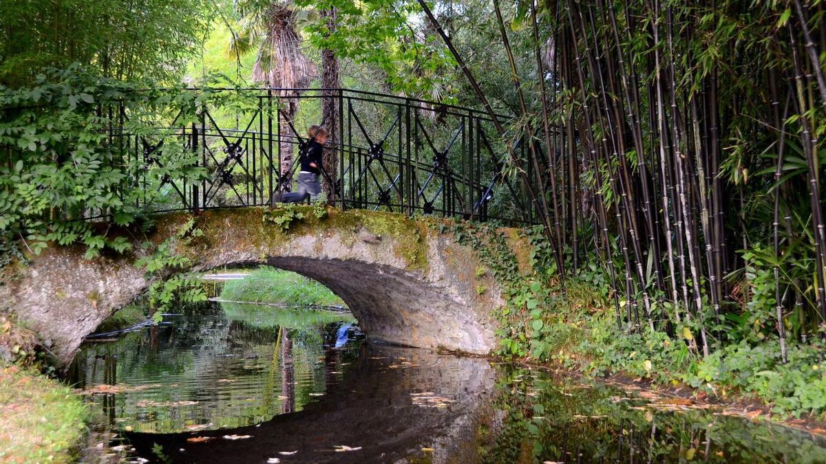 Vista del puente sobre el estanque del Parque Natural del Señorío de Bertiz.