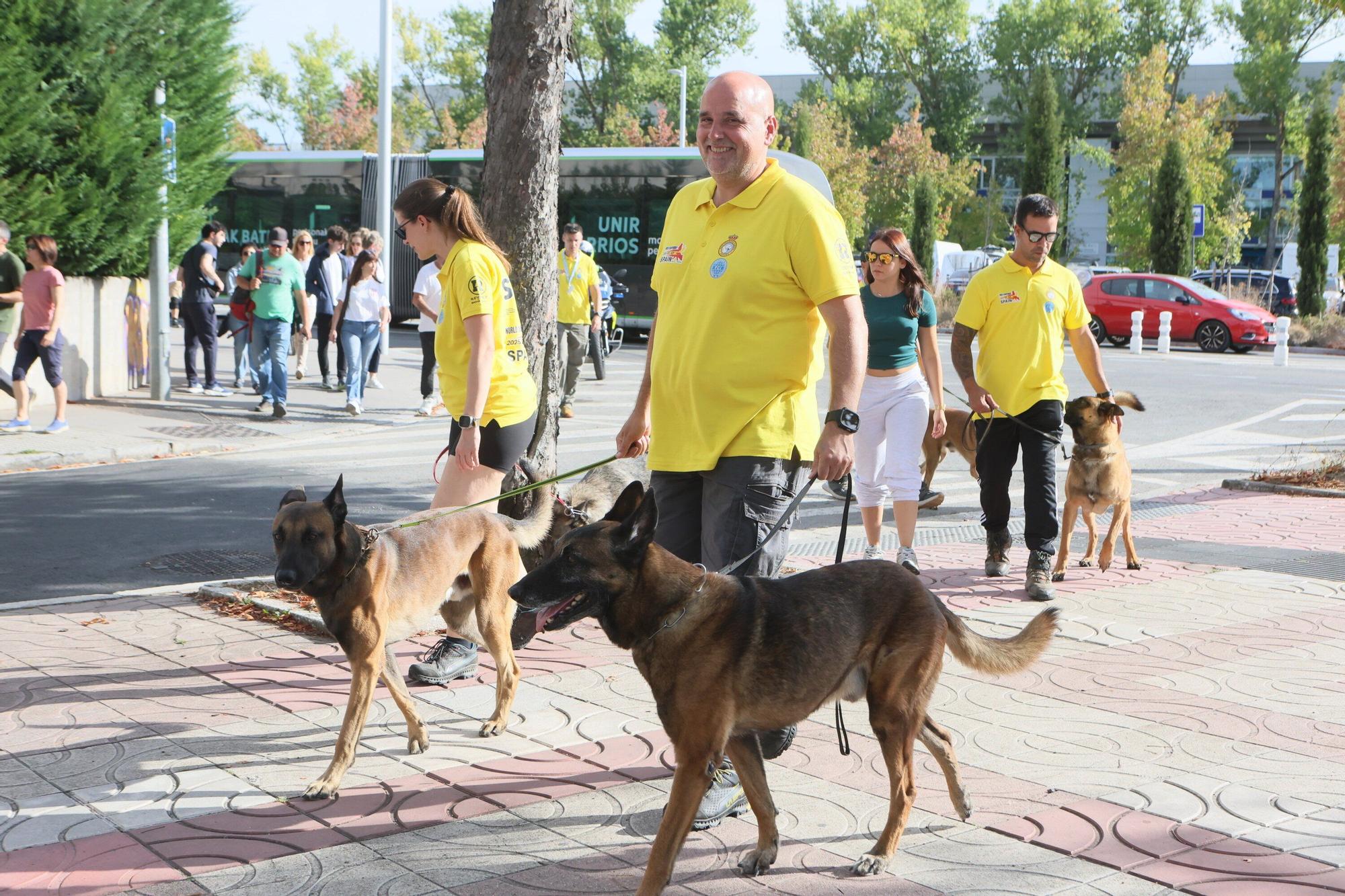 En imágenes: Perros de élite desfilan por Vitoria-Gasteiz por el 'Campeonato Mundial FCI-IGP'