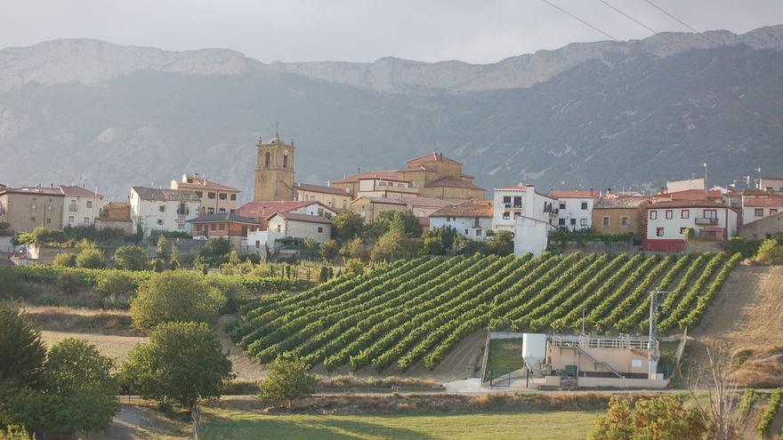 Kripan lidera la recogida selectiva de Álava, que mejora en todo el territorio un 7,3%