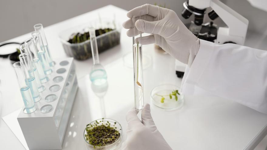 El decreto sobre cannabis aprueba el uso de sus compuestos, no su consumo medicinal