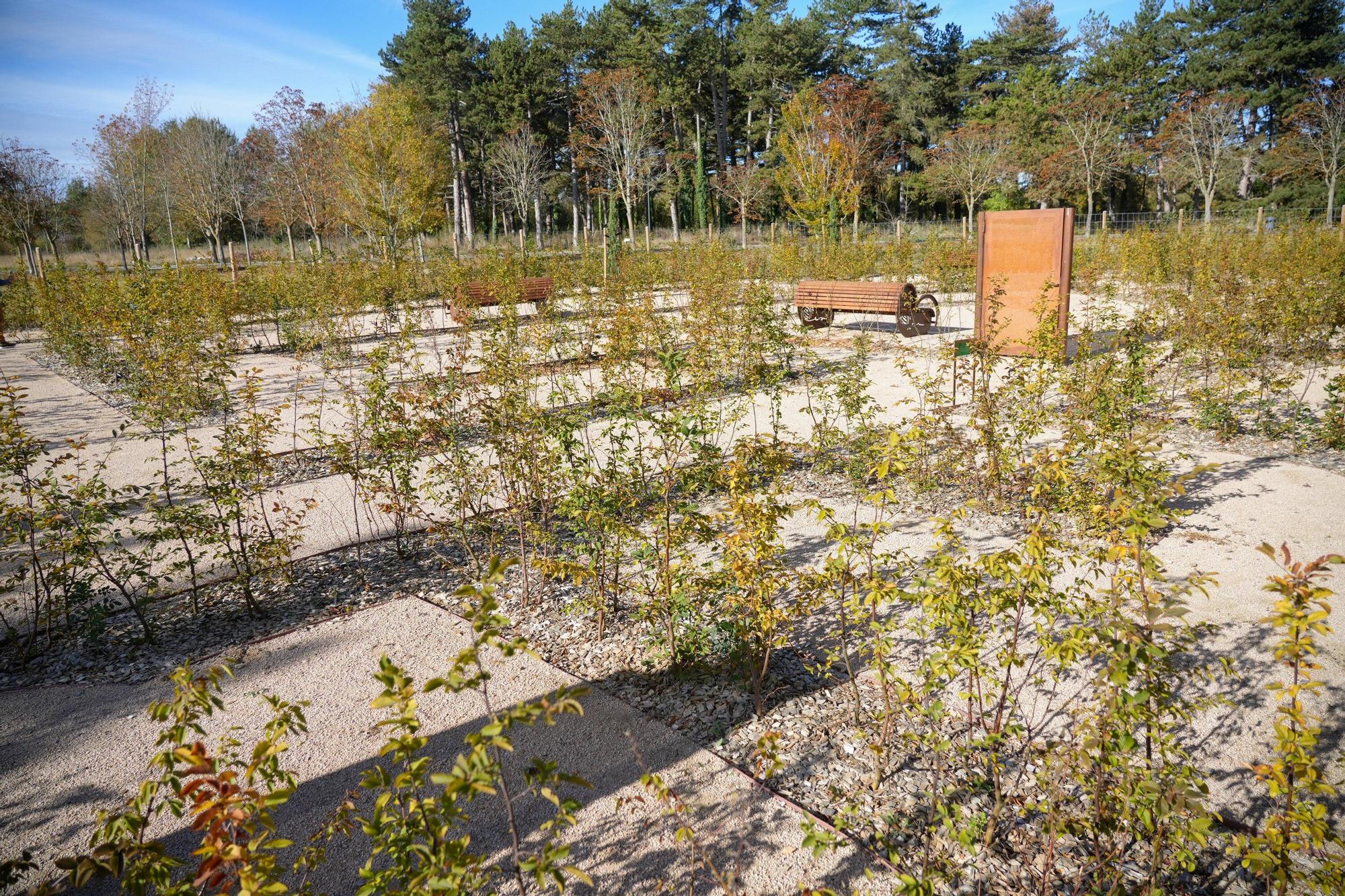 En imágenes: Inauguración del nuevo laberinto vegetal de Olarizu