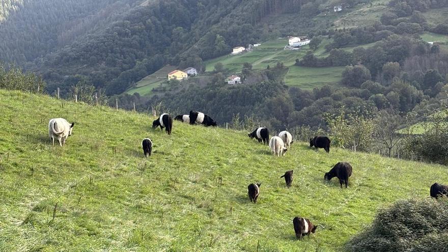 Baserriaren zeharkako onurak
