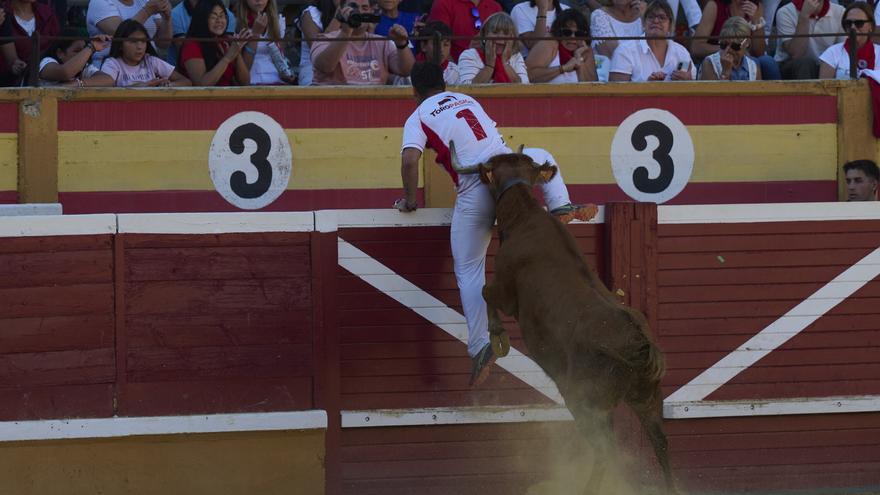 Concurso de recortadores con anillas