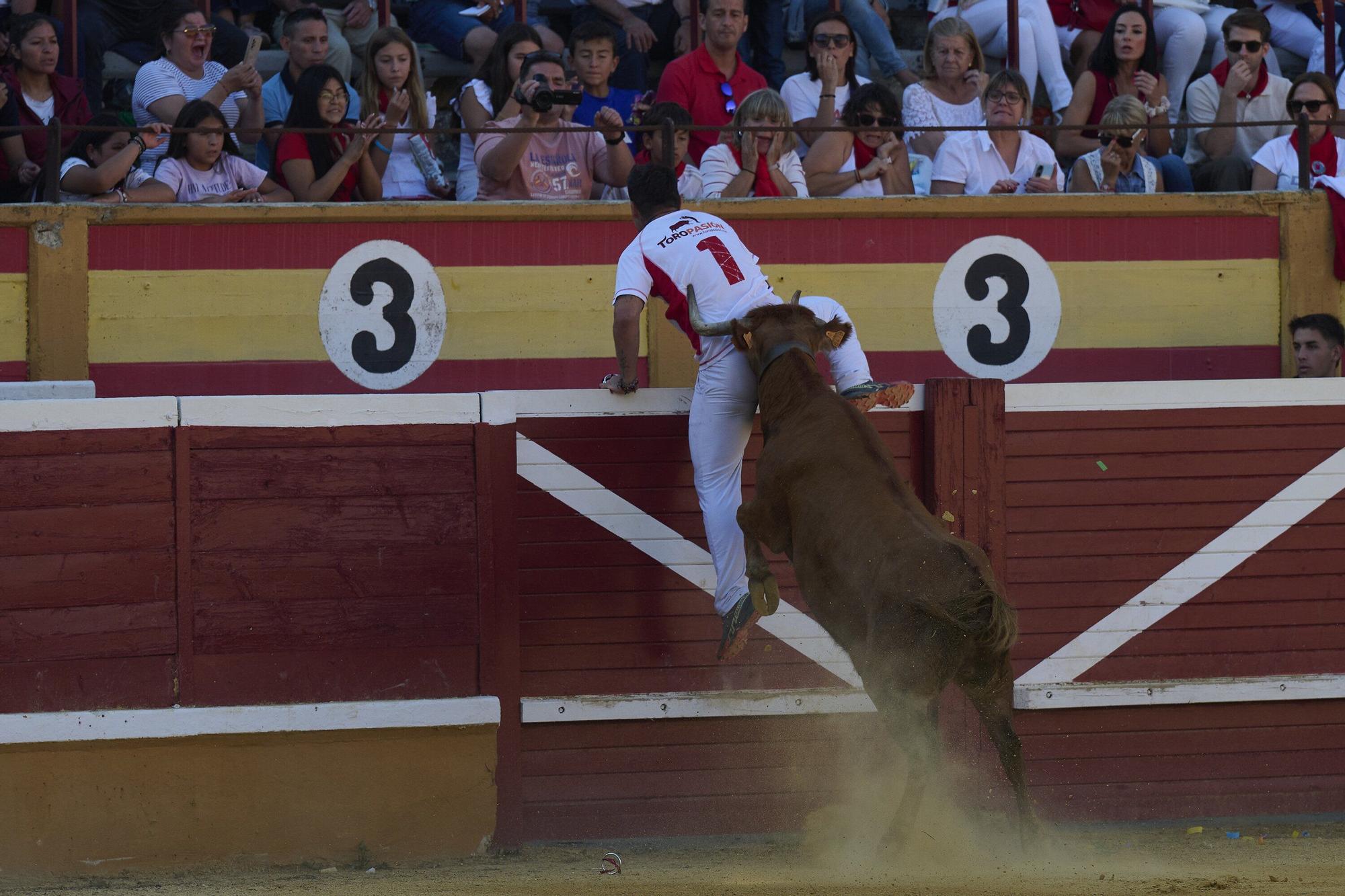 Concurso de recortadores con anillas
