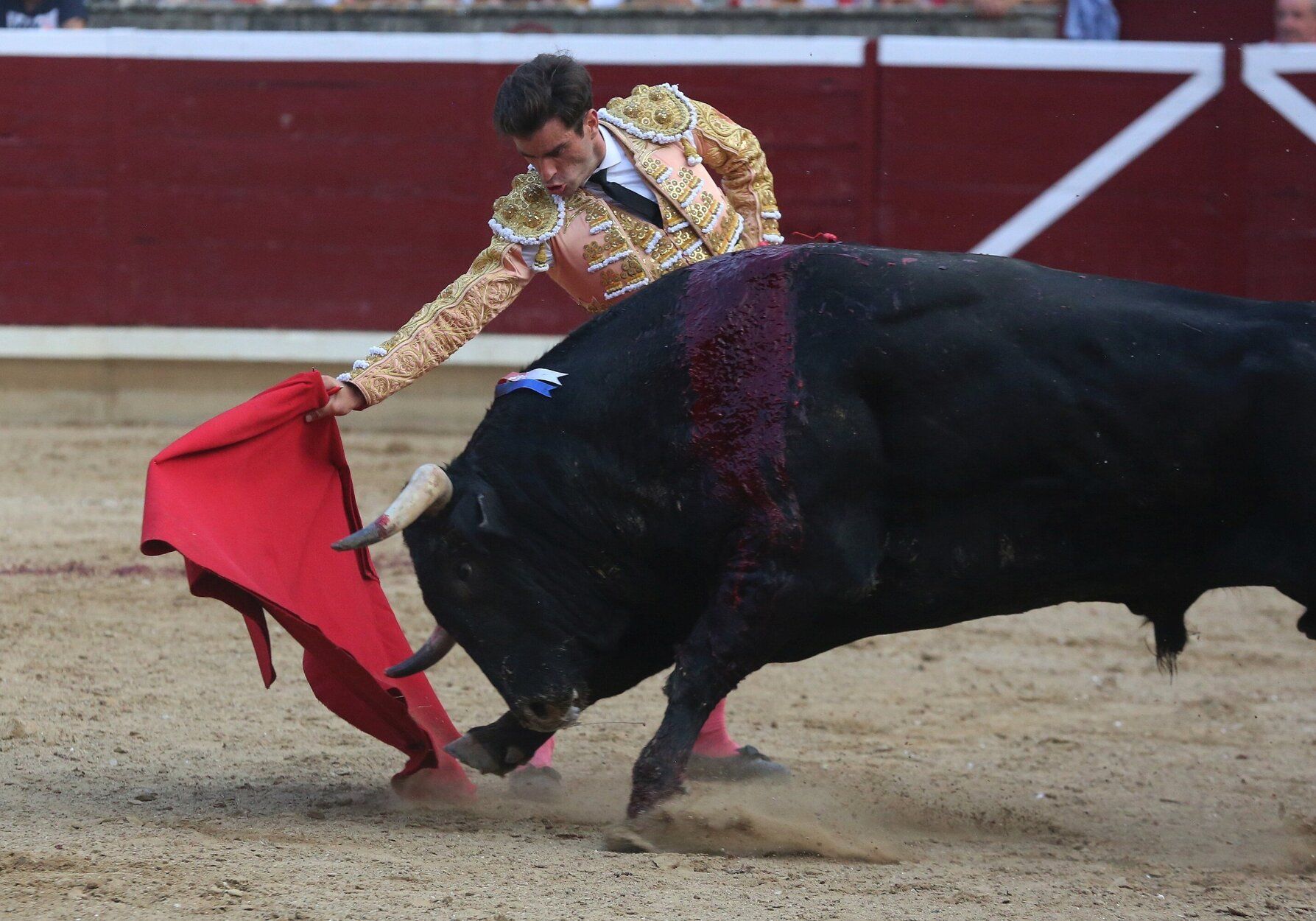 Fotos de la tercera corrida de toros de fiestas de Tafalla