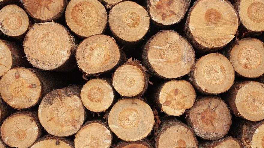 Investigadores de EHU consiguen una madera que supera en resistencia al acero inoxidable