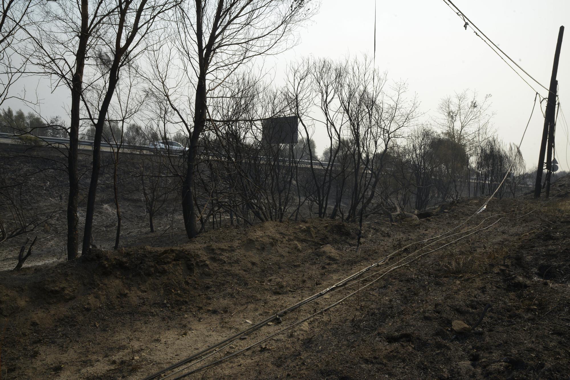 Semana negra de incendios: Cuatro muertos y 120.000 hectáreas quemadas