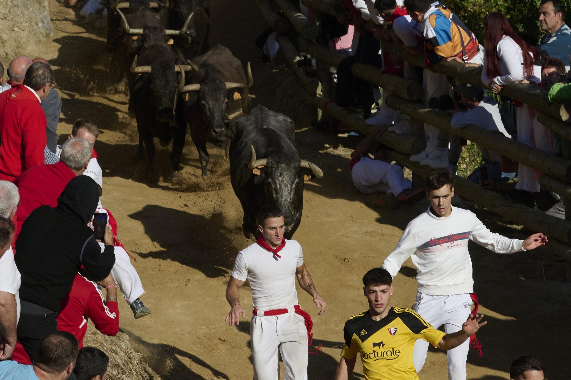 Fotos del penúltimo encierro del Pilón de Falces 2025