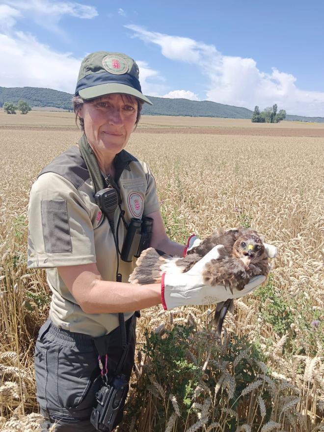 Las profesionales asesoran sobre cómo atender a animales en riesgo.
