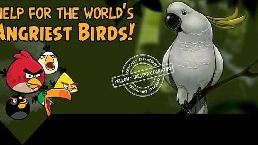 Angry Birds y BirdLife se alían  contra las amenazas de las aves en el Pacífico