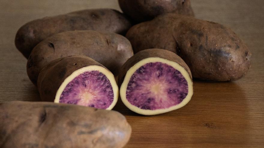 Neiker registra 'Atsegiñe', una nueva variedad de patata de carne bicolor orientada a la industria de 'chips'