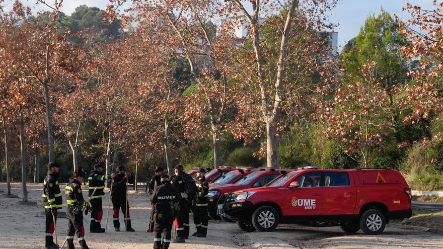 La población de jabalíes oscila entre los 25.000 y 30.000 en Navarra