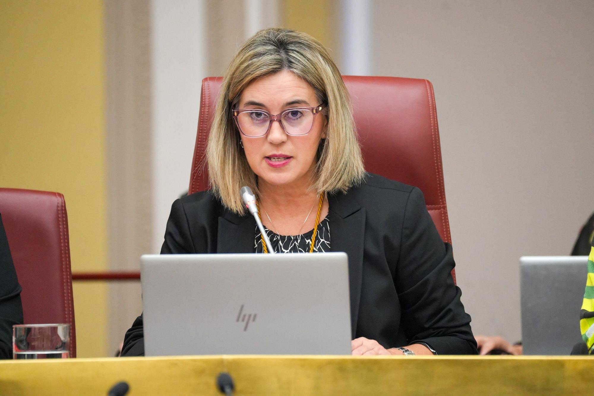 En imágenes: Pleno Tradicional de noviembre de Juntas Generales