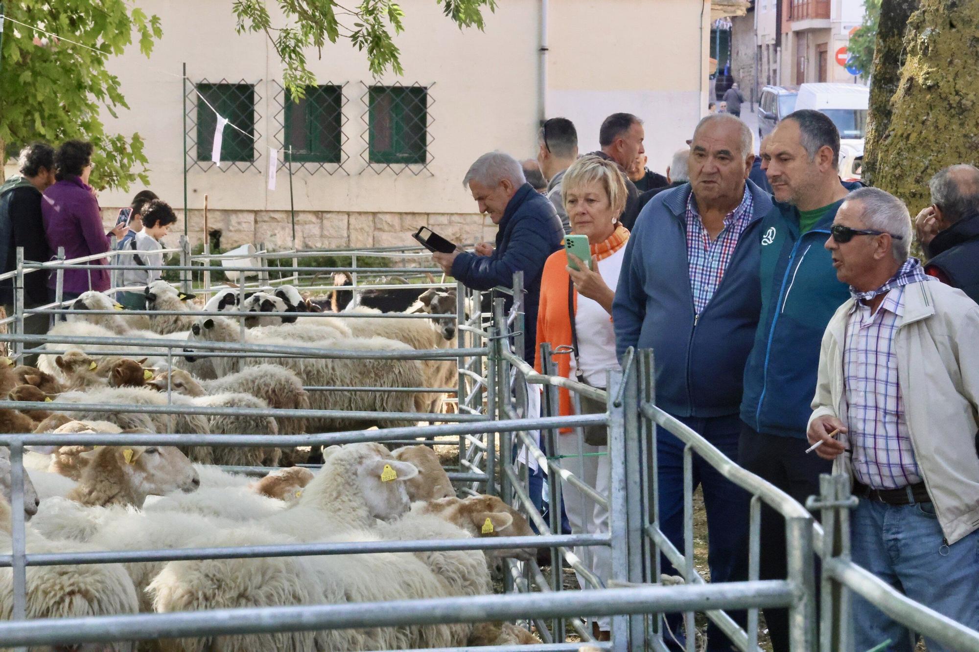En imágenes: Miles de personas disfrutan de la 630 edición de la feria de Agurain