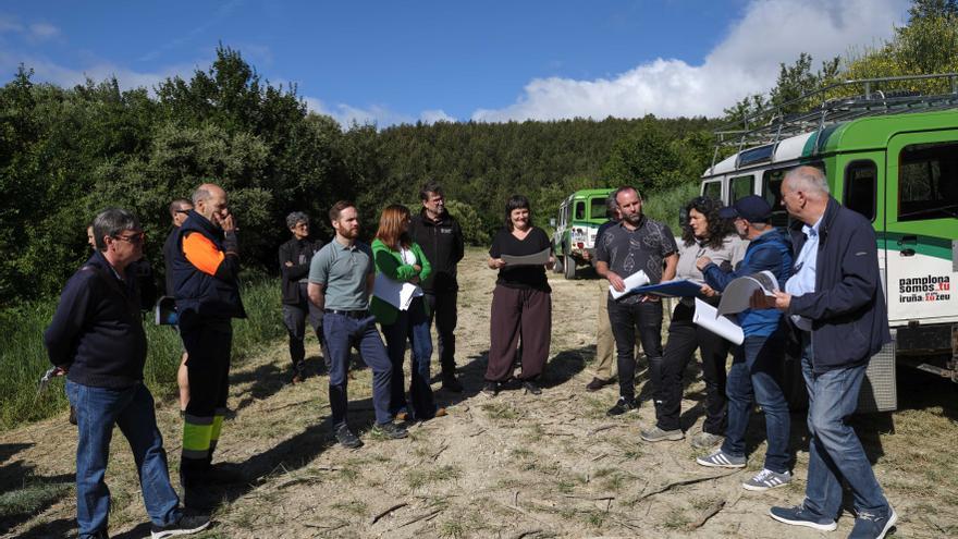Pamplona: 4.100 repoblaciones en Ezkaba desde el gran incendio de 2022