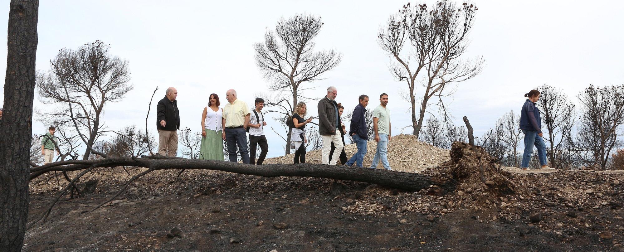 Así han quedado los montes afectados por el incendio de Carcastillo