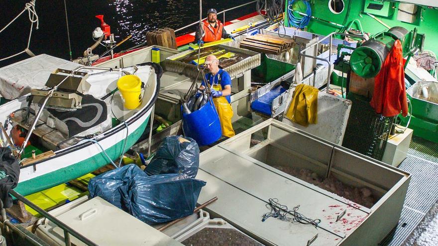La flota vasca ha pescado ya 7.100 toneladas de bonito del norte