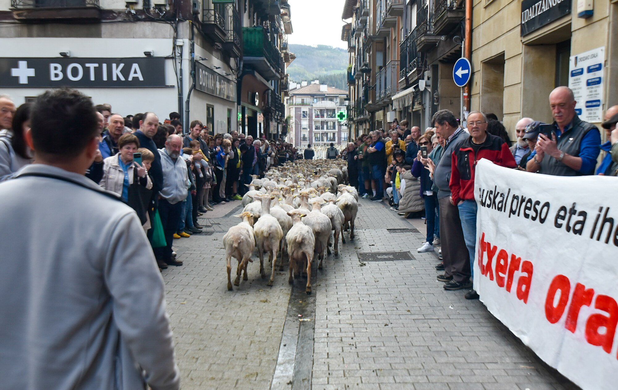 En imágenes: Edorta Lamo, protagonista del Artzain Eguna celebrado en Ordizia