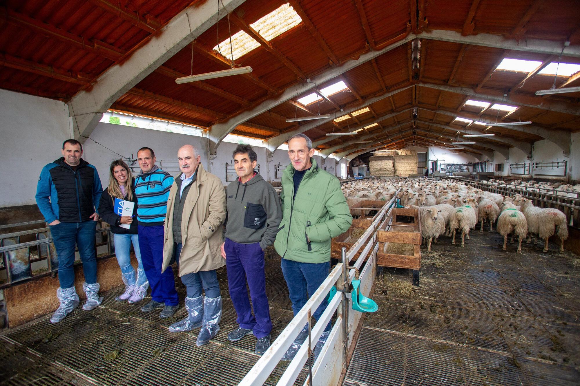 Fotos de la visita a la explotación ganadera de un joven que acaba de instalarse en Gaintza, en el valle de Araitz