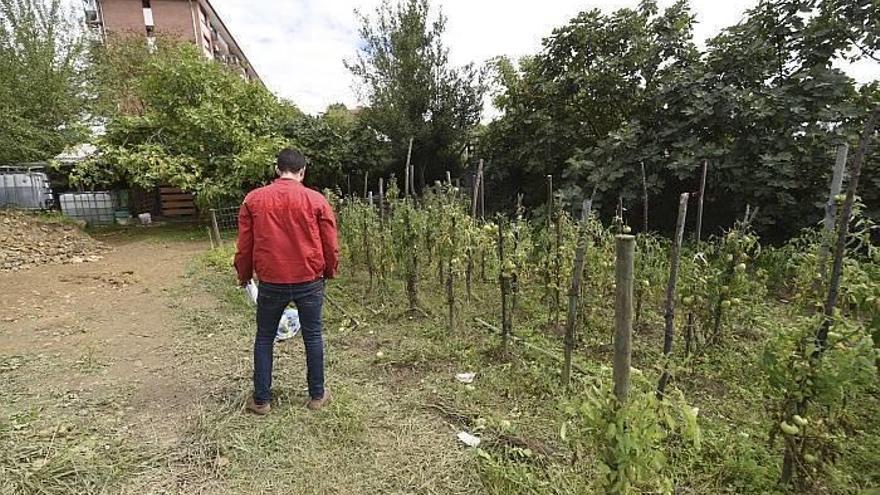 Ingresa en prisión el acusado de matar a un hombre en Amorebieta