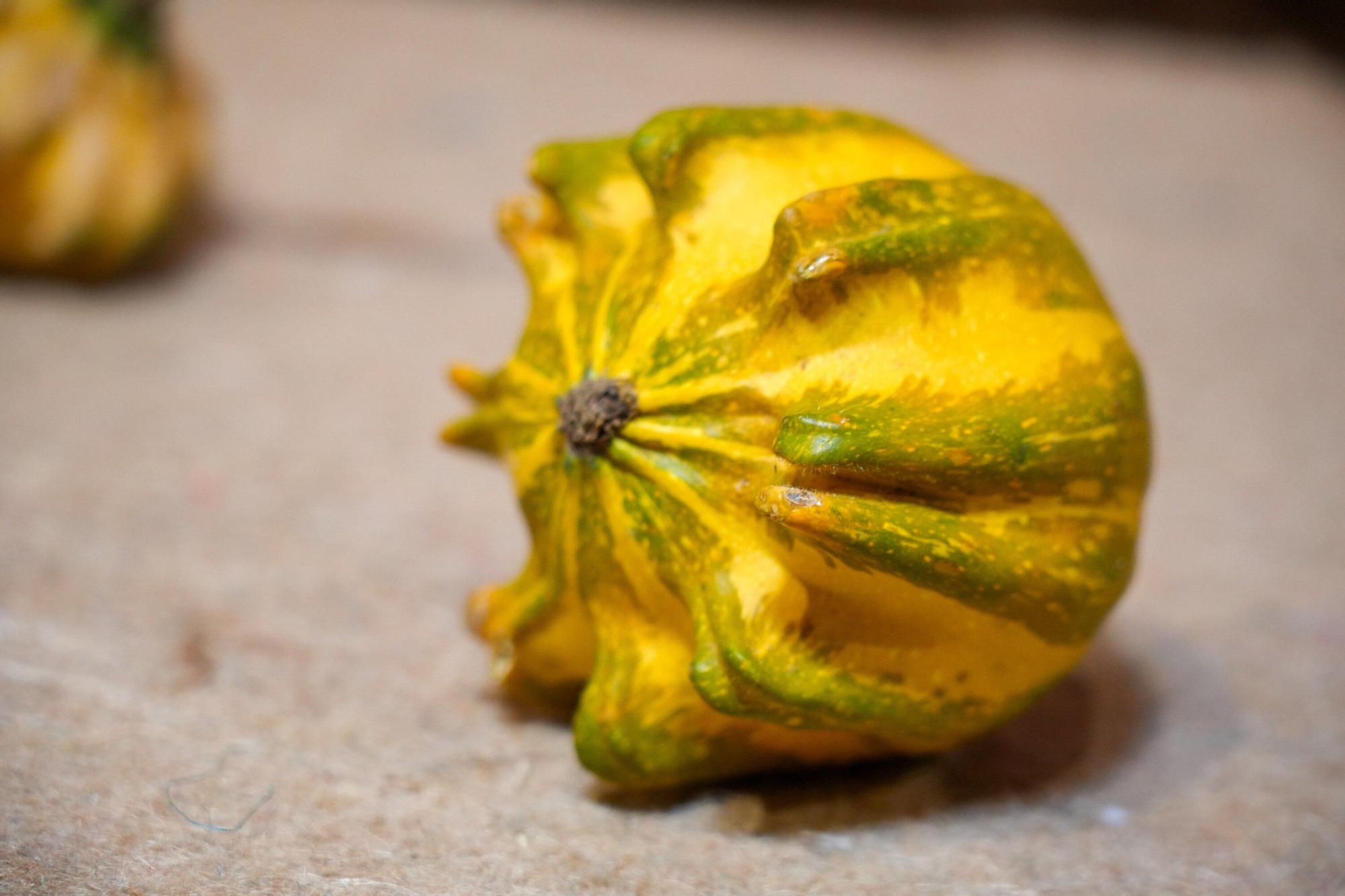 En imágenes: Exposición de calabazas en la Casa de la Dehesa