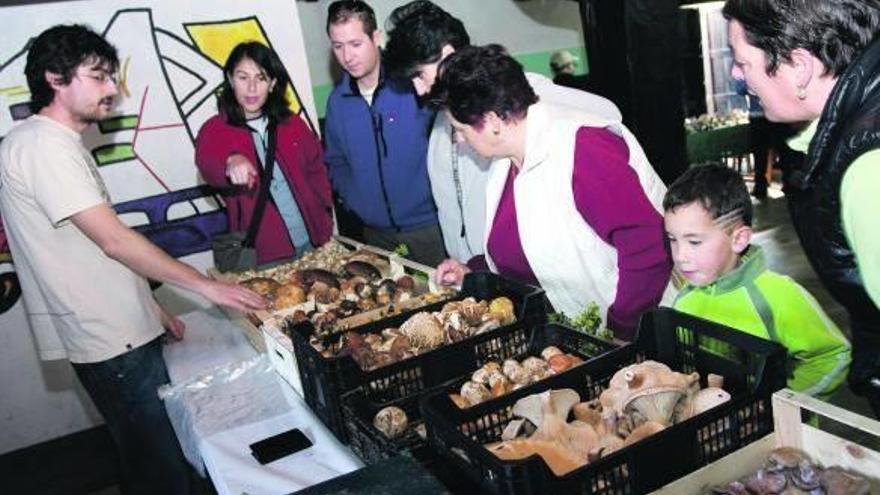 Los hosteleros de Loiola se suman a las XII Jornadas Micológicas del barrio
