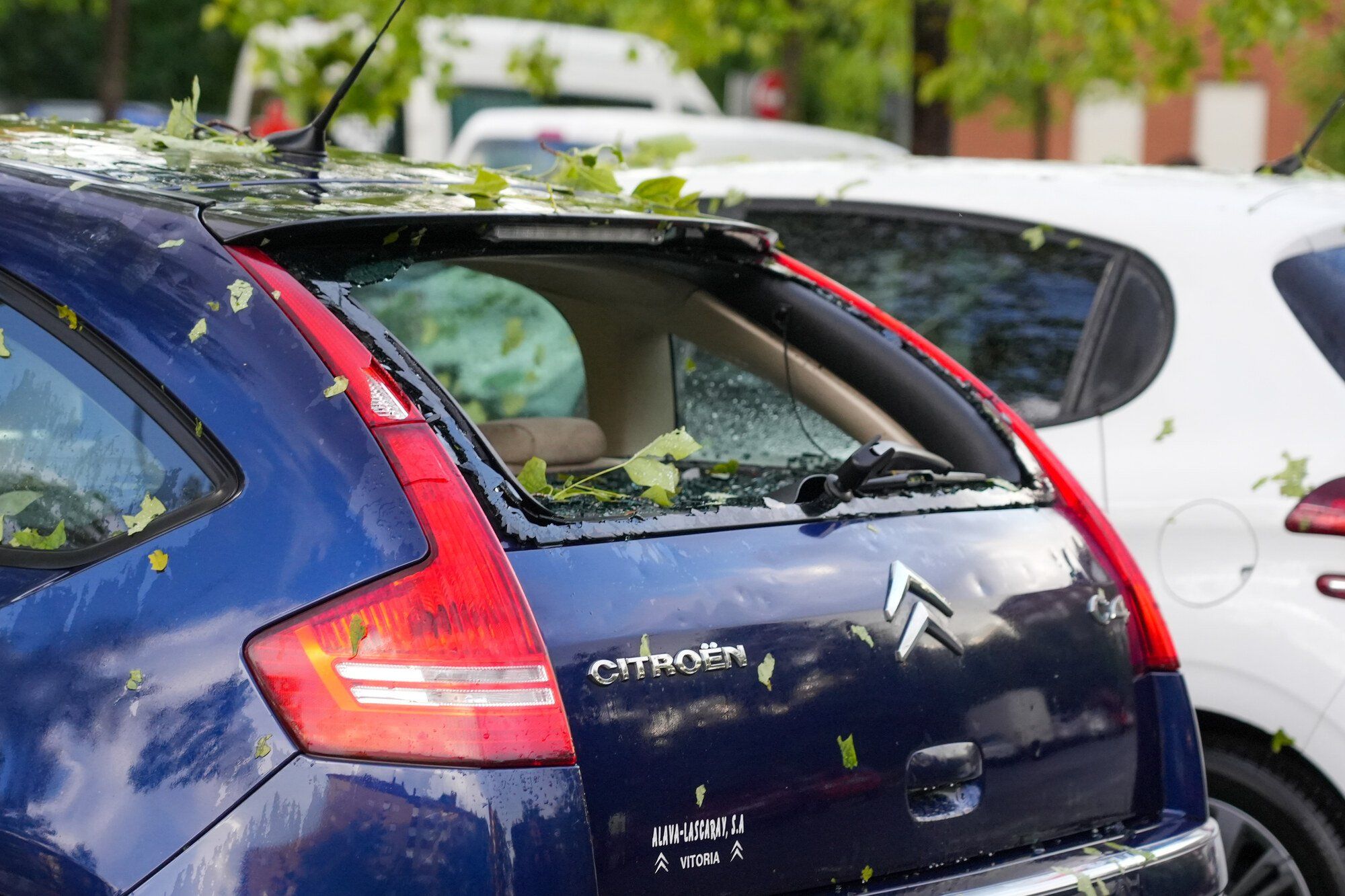 En imágenes: Así ha amanecido la capital alavesa tras la espectacular granizada