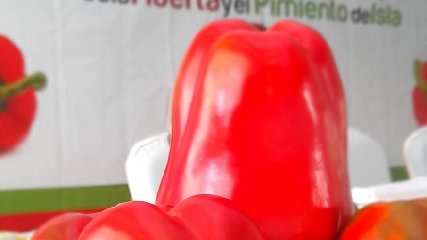 XI Jornadas gastronómicas de la huerta y el pimiento de Isla