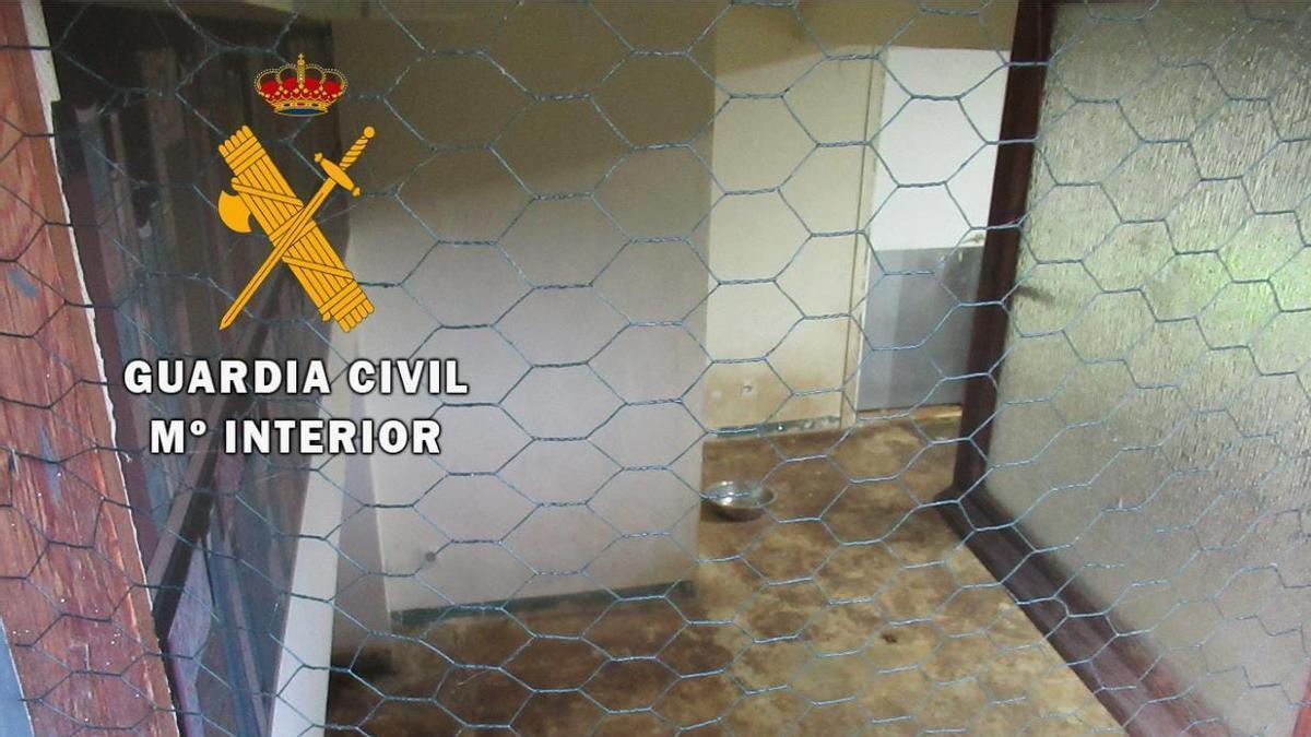 Vista de una de las estancias para animales en el albergue clausurado.