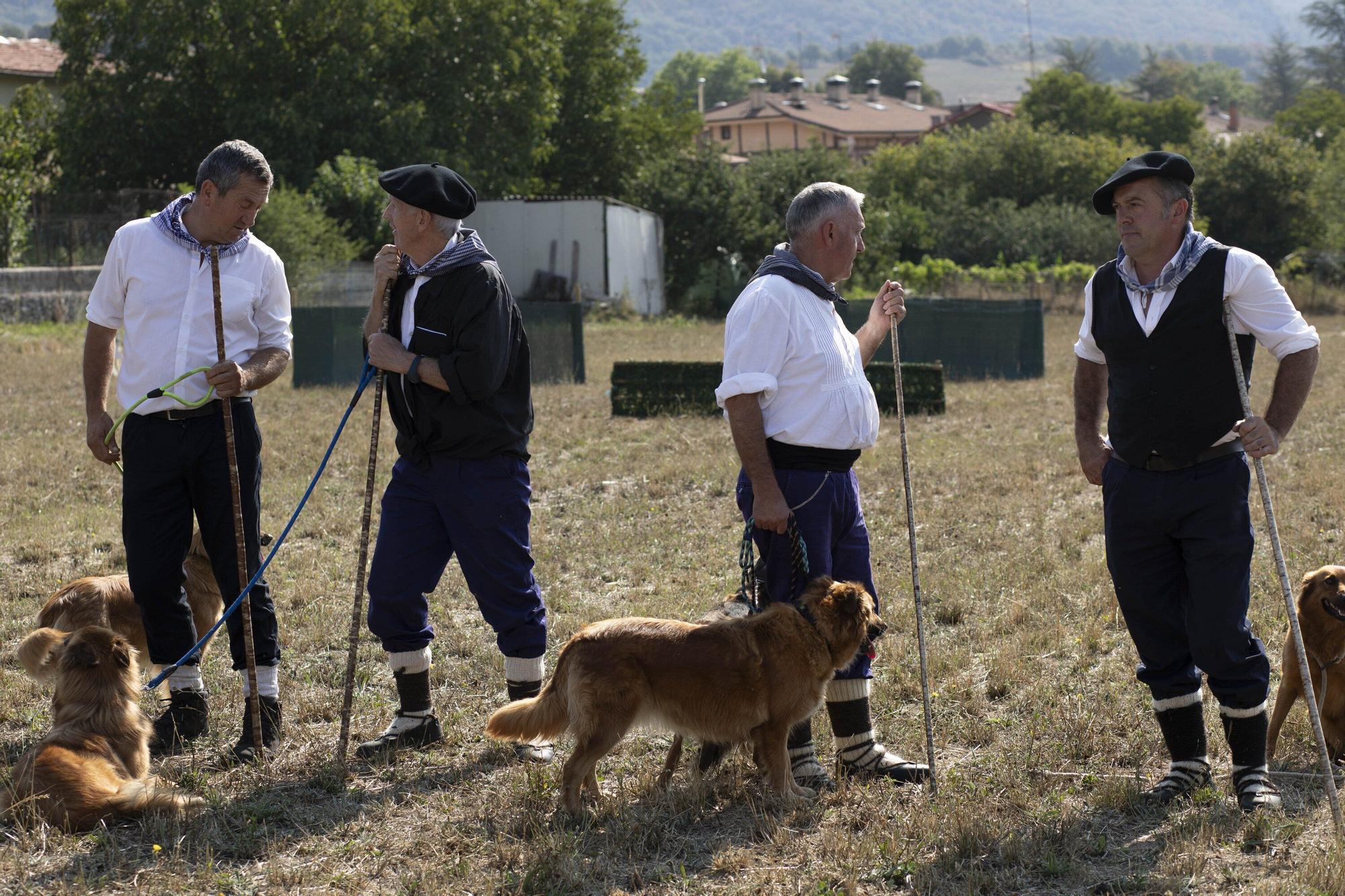En imágenes: LXI edición del Campeonato de Araba de Perro de Pastor