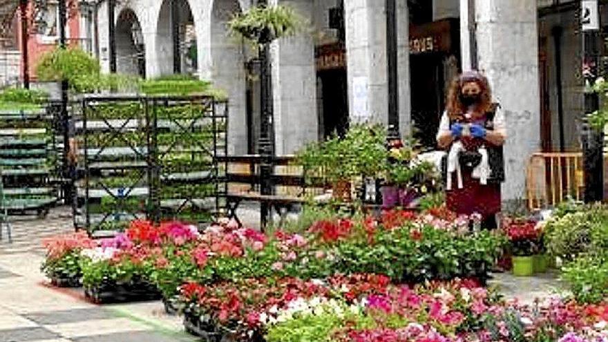 Tolosa amplía el plazo para abonar varios impuestos y tasas municipales