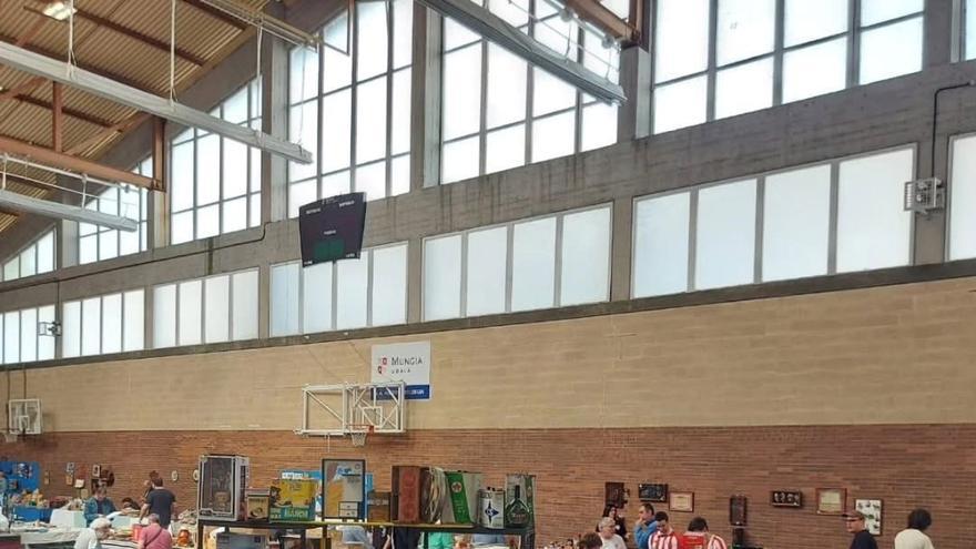 Bitxikiak 22. Bildumazaletasun Azoka egingo da Mungian asteburuan