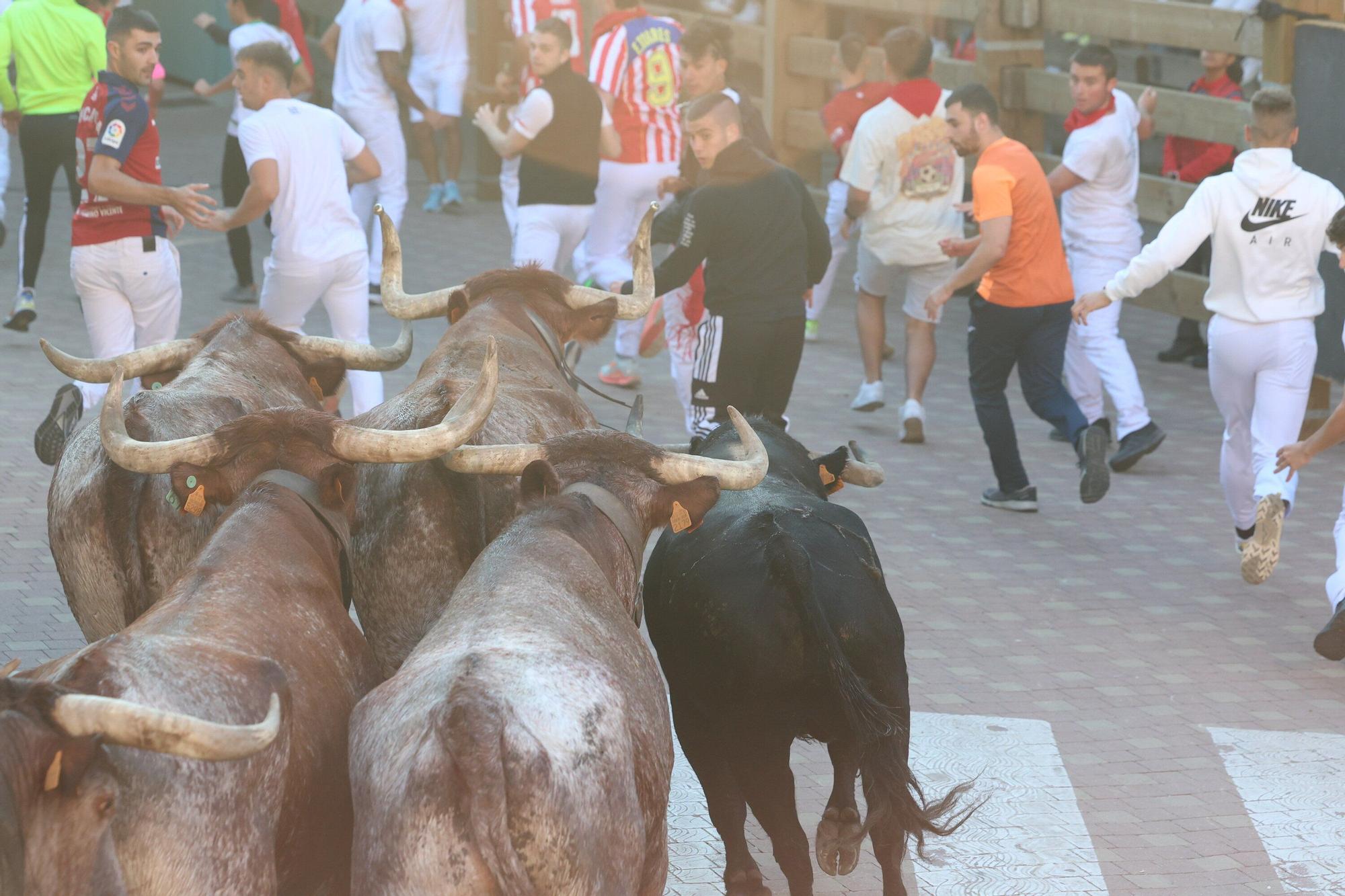 Fotos del quinto encierro de las fiestas de Tudela 2025