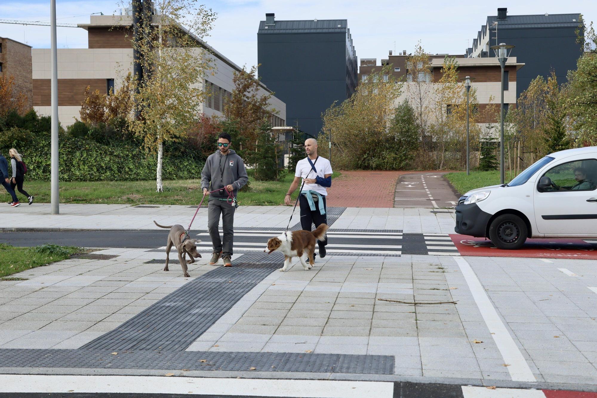 En imágenes: El nuevo camino peatonal y ciclista entre Olarizu y Goikolarra